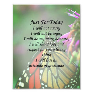 Foto Apenas Para Hoje Monarca Borboleta Inspiracional