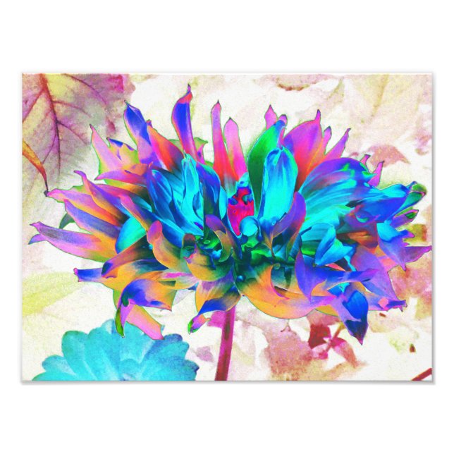 Foto Aquarela Atormentada Rainbow Cactus Dahlia (Frente)