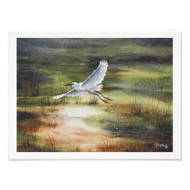 Foto Aquarela da Garça Branca