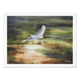 Foto Aquarela da Garça Branca