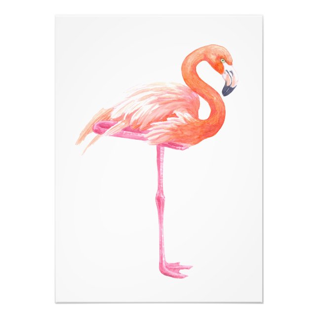 Foto Aquarela Flamingo (Frente)