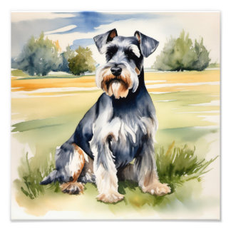 Foto Aquarela Miniatura Schnauzer - Impressão de Arte C