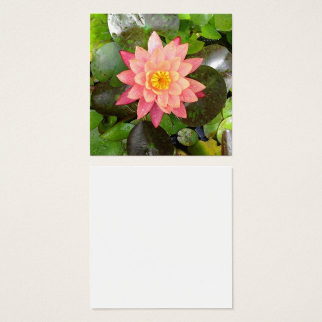 Foto aquosa rosa (Frente & Verso)