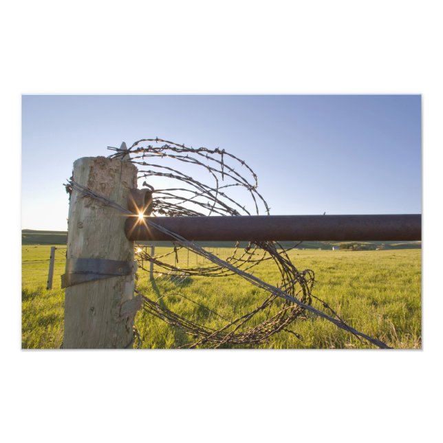 Foto Arame farpado enrolado na forca perto (Frente)