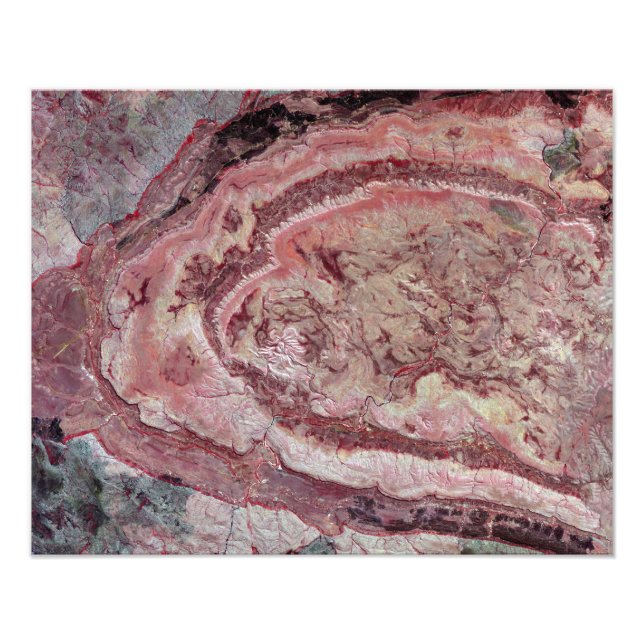 Foto Aranha-Aranha, Austrália Ocidental (Frente)