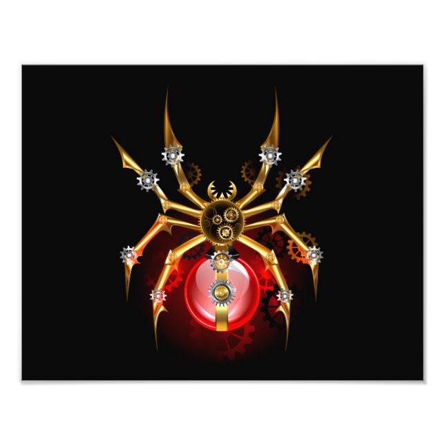 Foto Aranha-do-galo em preto (Frente)