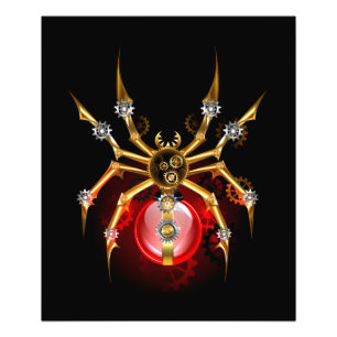 Foto Aranha-do-galo em preto