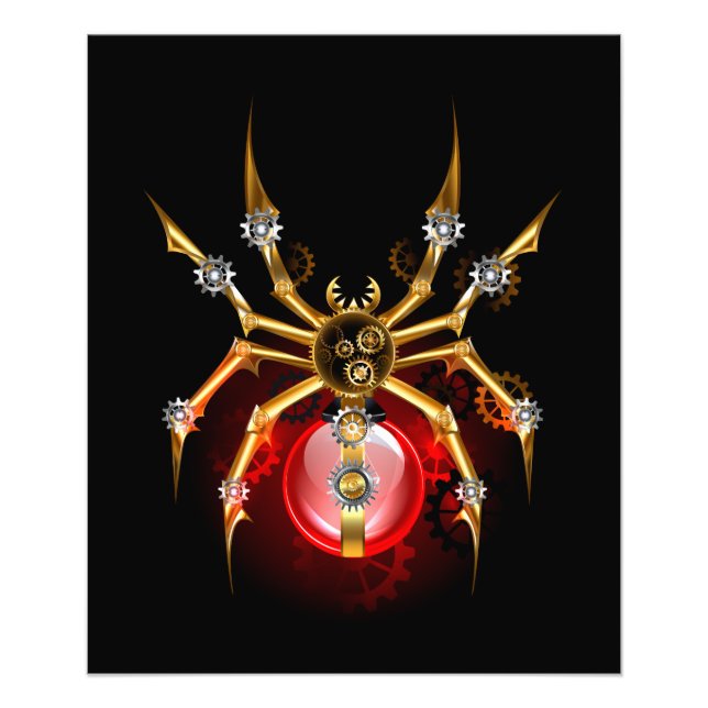 Foto Aranha-do-galo em preto (Frente)