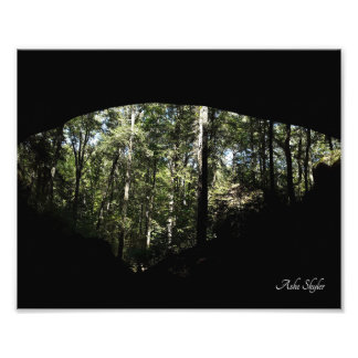 Foto Arca da Floresta Sandstone