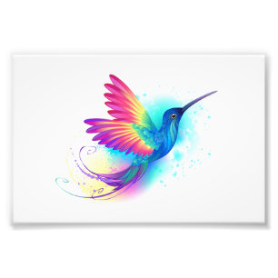 Foto Arco-Íris Exótico Hummingbird