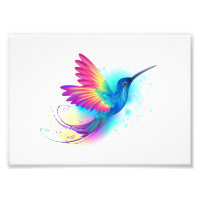 Arco-Íris Exótico Hummingbird