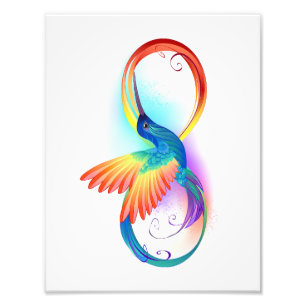 Foto Arco-íris Hummingbird com símbolo Infinito