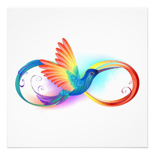 Foto Arco-íris Hummingbird com símbolo Infinito
