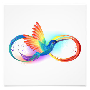 Foto Arco-íris Hummingbird com símbolo Infinito
