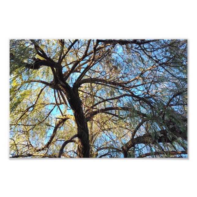 Foto Arcos de luz (Frente)