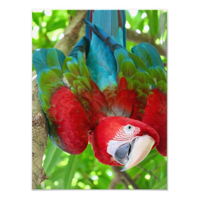 Foto Are you looking at me?  (Frente)