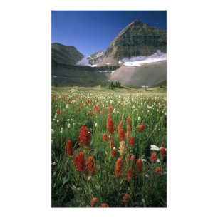 FOTO ÁREA SILVESTRE DE MOUNT TIMPANOGOS, UT, EUA,