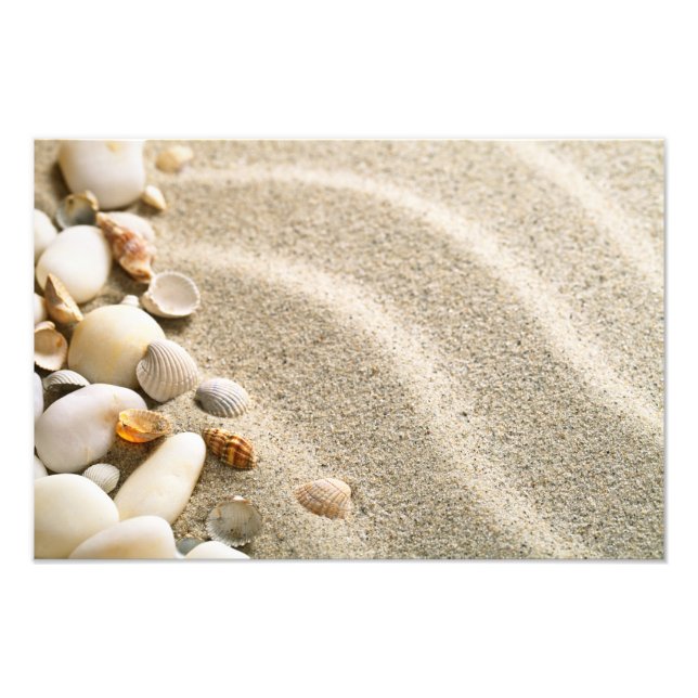 Foto Areia Com Conchas E Pedras. Composição de praia (Frente)