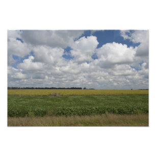 Foto Argentina, Buenos Aires, San Antonio de Areco.
