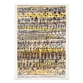 Foto Arrefecimento ERA em um jardim de zona quente | Pa