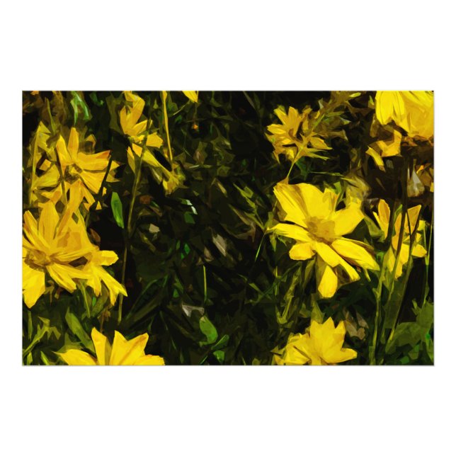 Foto Arrofiraf Balsamroot Yellow Wilflower Abstrato (Frente)