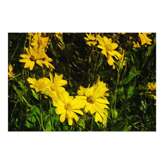 Foto Arrofiraf Balsamroot Yellow Wilflower Abstrato (Frente)