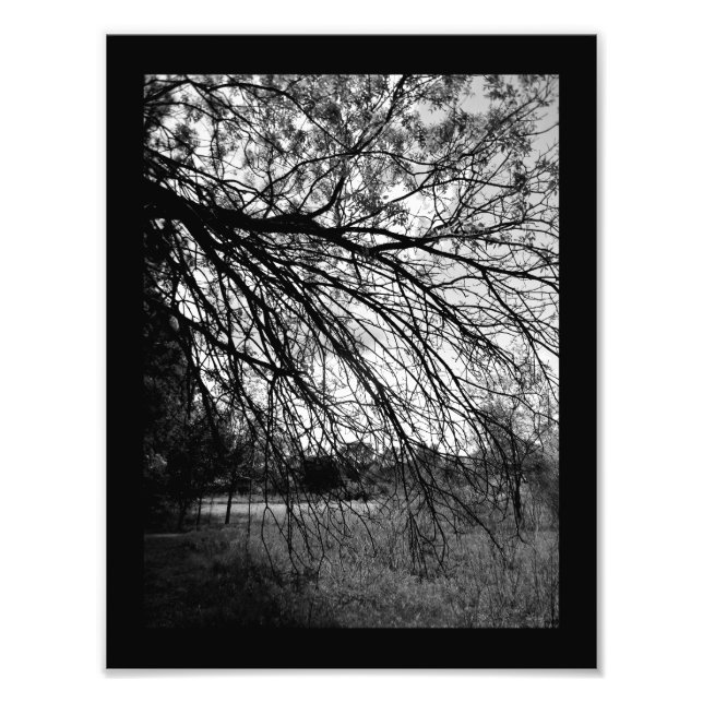 Foto Arte da Natureza (Frente)
