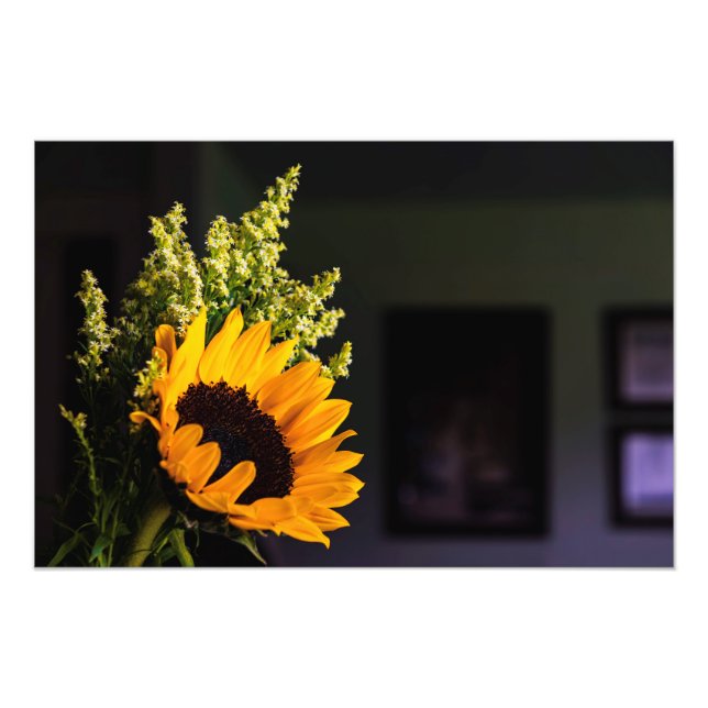 Foto Arte da Natureza (Frente)