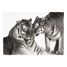 Foto Arte de Amor de Tigre - Decoração de Vida Selvagem