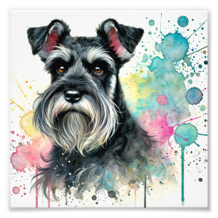 Foto Arte de Aquecimento Miniatura de Schnauzer
