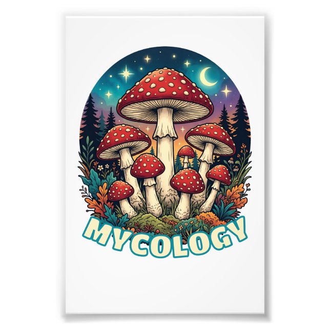 Foto Arte de Cogumelo da Floresta Encantada (Frente)