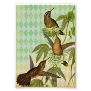 Foto Arte de Digitas do colibri
