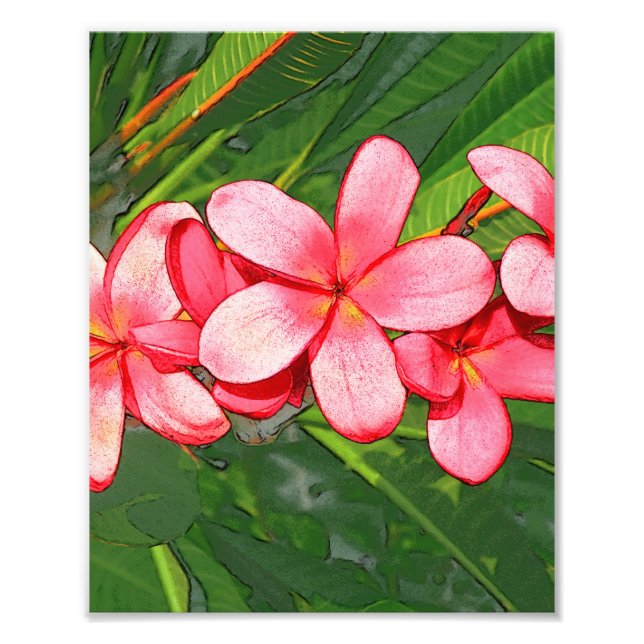 Foto Arte de Frangipani Tropical Rosa (Frente)