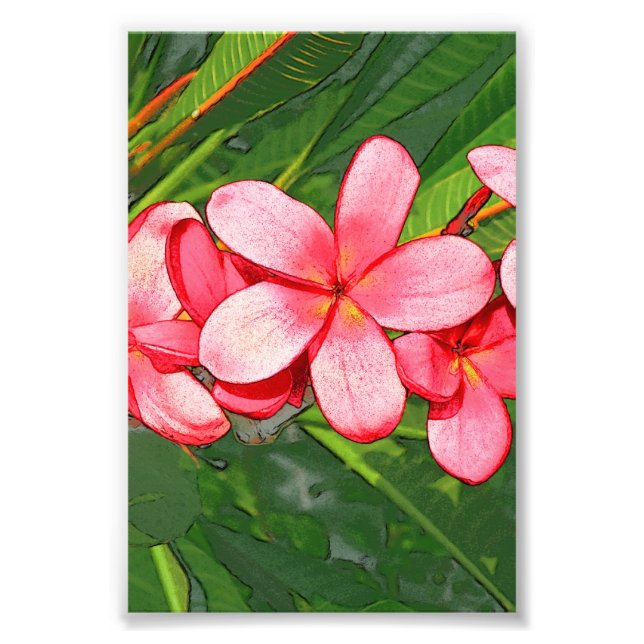 Foto Arte de Frangipani Tropical Rosa (Frente)