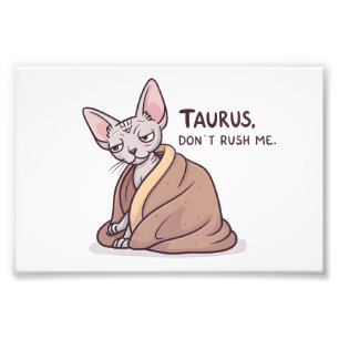 Foto Arte de Gato Sphynx Calmo de Touro Zodíaco Atitude