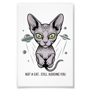 Foto Arte de Gato Sphynx Julgador no Espaço