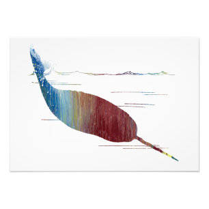 Foto Arte de Narwhal