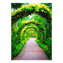 Arte de parede de arco de jardim