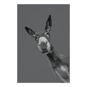 Foto Arte de retrato em tons de cinza de um burro engra