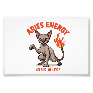 Foto Arte do Zodíaco Energia de Fogo do Gato Sphynx de