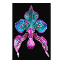FOTO ARTE FLOR ORCHID