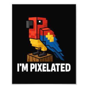 Foto Arte Pixel de Papagaio Selvagem Blocky
