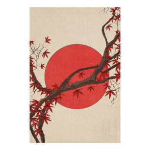Foto Árvore de bordo japonês