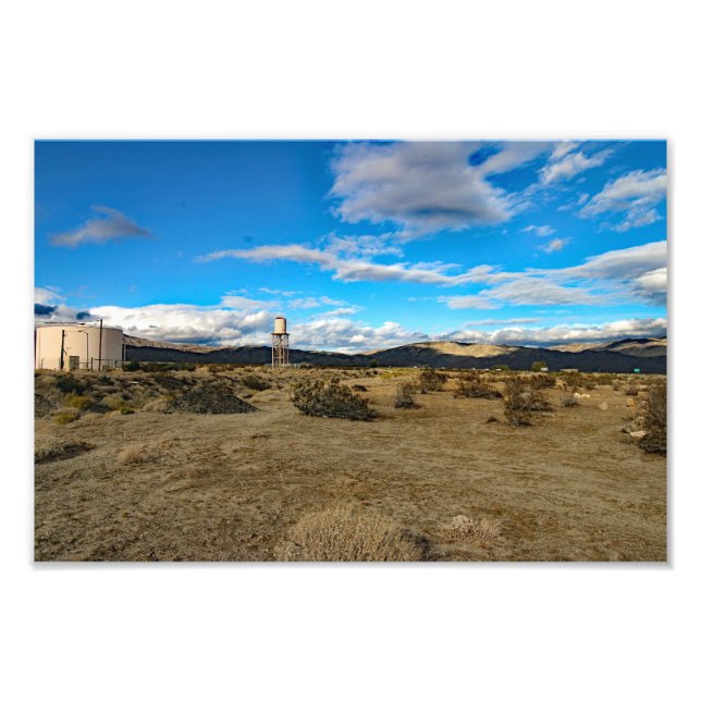 Foto Árvore de Josué (Frente)