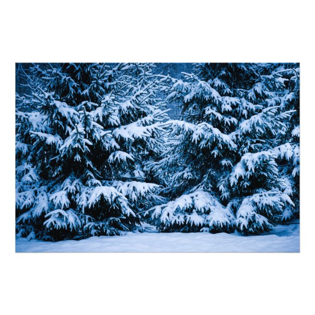 Foto Árvore de Natal da Floresta de inverno (Frente)