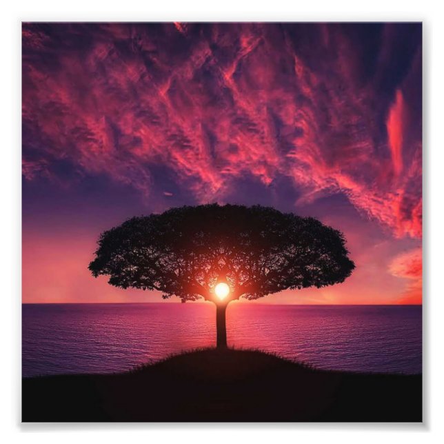 Foto Árvore e Sol (Frente)