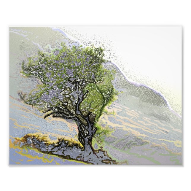 FOTO ÁRVORES (Frente)