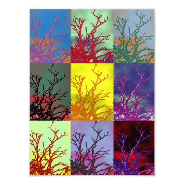 FOTO ÁRVORES (Frente)