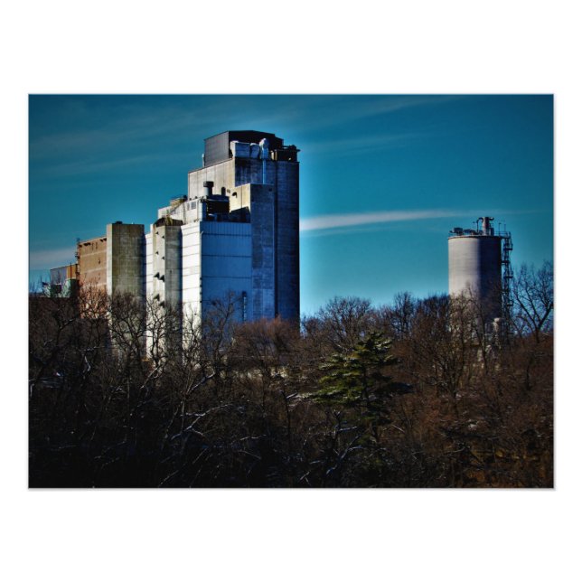 Foto "Árvores: Apenas Tempo Limitado" (Frente)