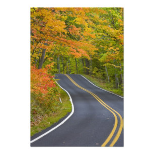 Foto Árvores coloridas no cenário da linha de outono